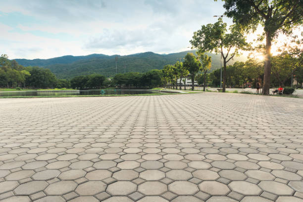 Best Interlocking Driveway Pavers  in Hypoluxo, FL